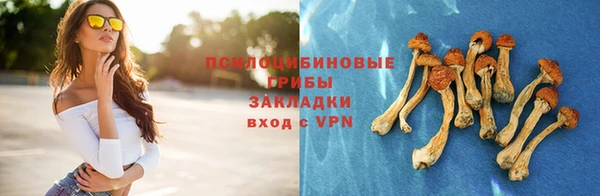 меф Гусев