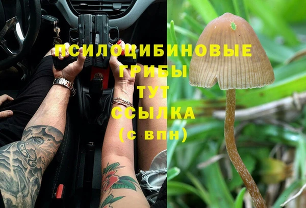 MESCALINE Гусиноозёрск