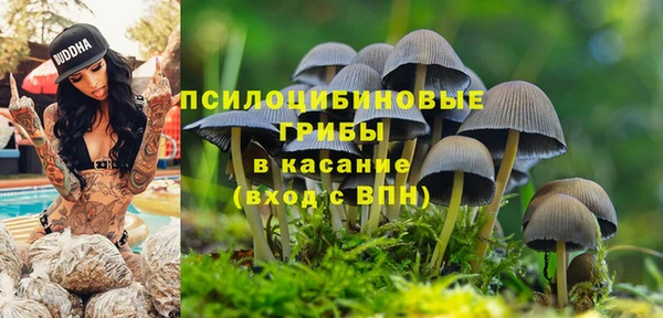 наркотики Гусь-Хрустальный