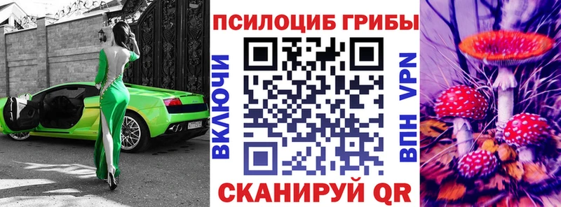 кракен маркетплейс  Жиздра  Галлюциногенные грибы мицелий 